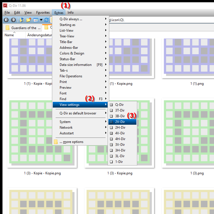 What is the 2V Dir view in the quad file explorer Q Dir